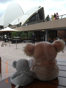 John's australia 2011 047